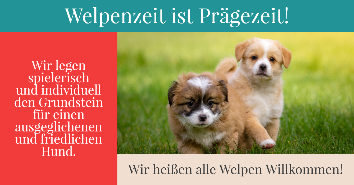 welpe